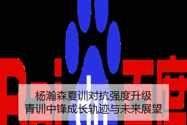 杨瀚森夏训对抗强度升级 青训中锋成长轨迹与未来展望